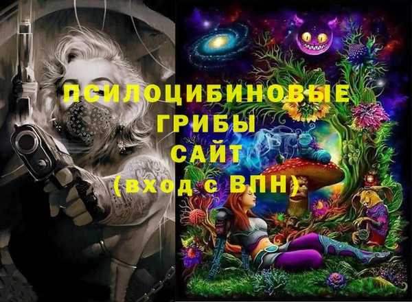 стаф Верхний Тагил